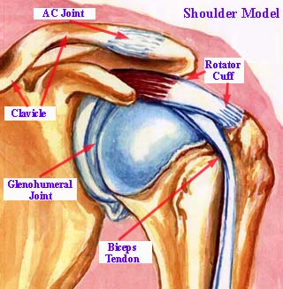 Here's how it differs from the others, what the treatments are, and when you might need surgery. Anterior Cruciate Ligament Tear
